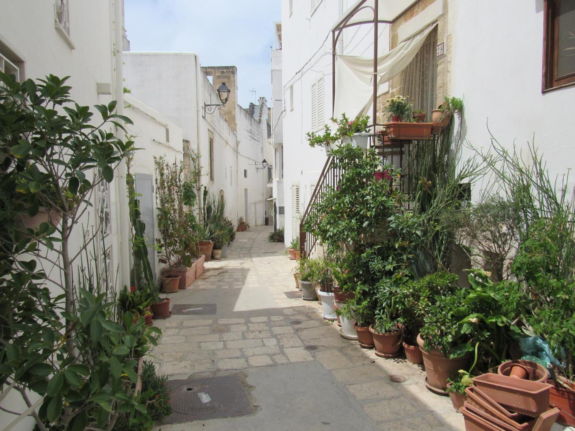 Vicolo Fiorito B&B Polignano a Mare Exteriér fotografie